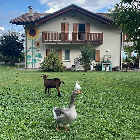 Agriturismo Girasole Fai della Paganella Exterior foto